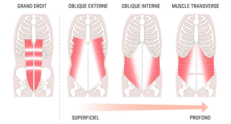 Anatomie : Les Mollets - Blog Eric Favre