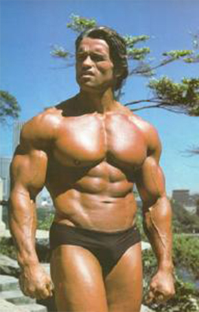 arnold schwarzenegger