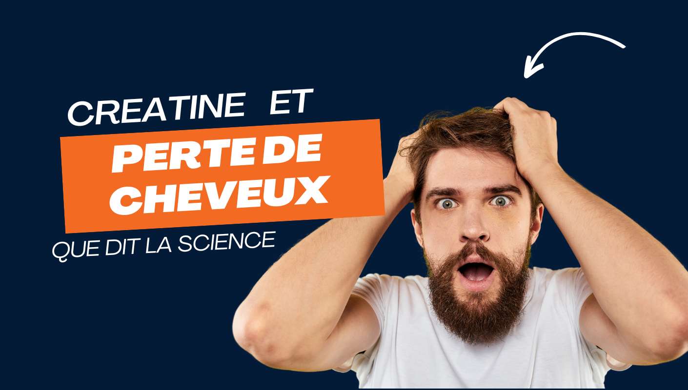 creatine et perte de cheveux