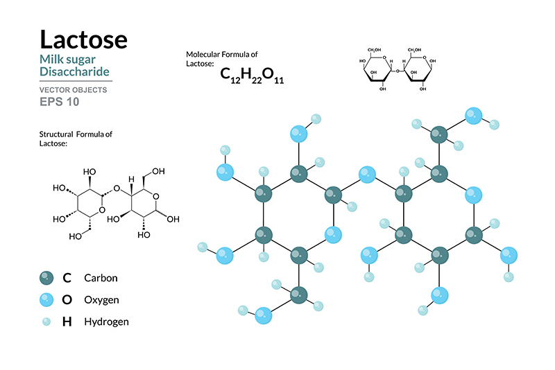 propriétés du lactose