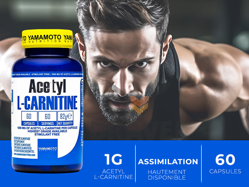 avantages actéyl L-carnitine yamamoto nutrition