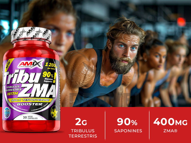 Les avantages du Tribu ZMA de Amix Nutrition