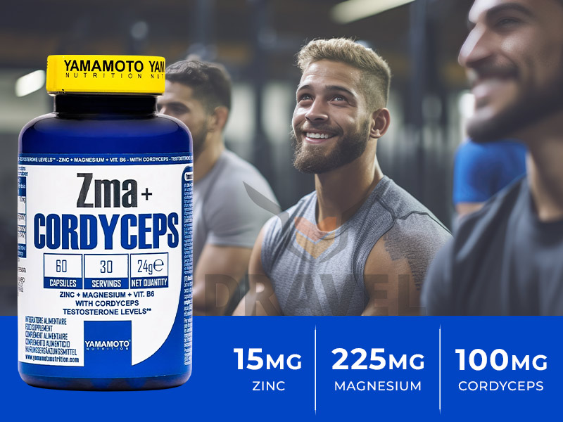 Les avanrtages du ZMA Cordyceps Yamamoto Nutrition