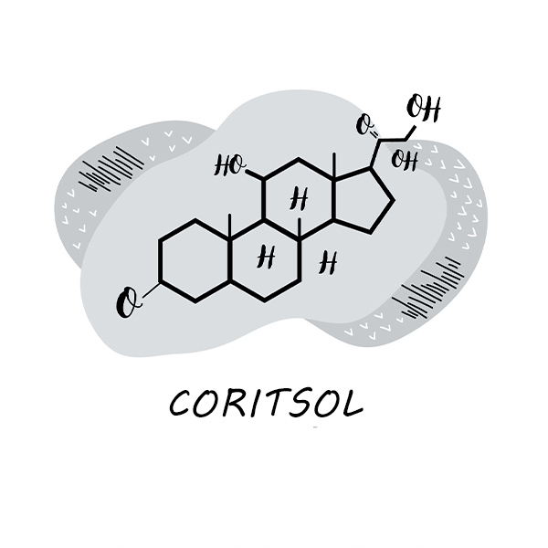 cortisol